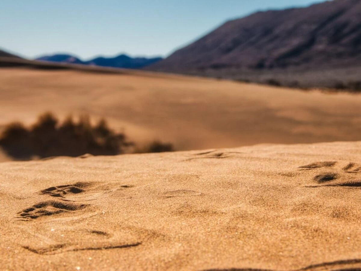 brown sand under blue sky during daytime