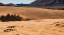 brown sand under blue sky during daytime