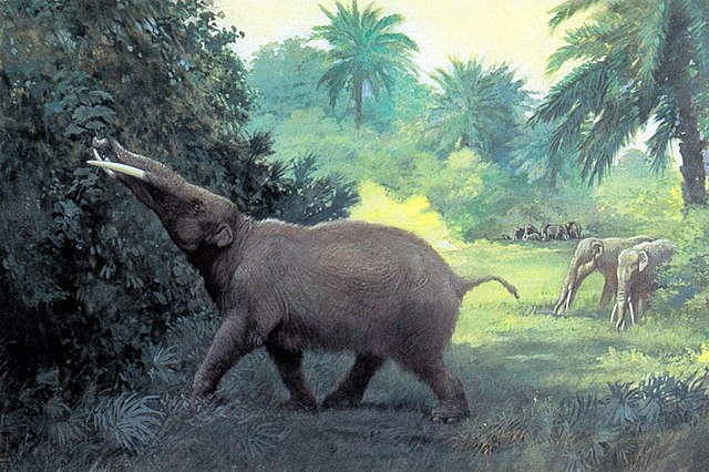Gomphotherium - Techsvět