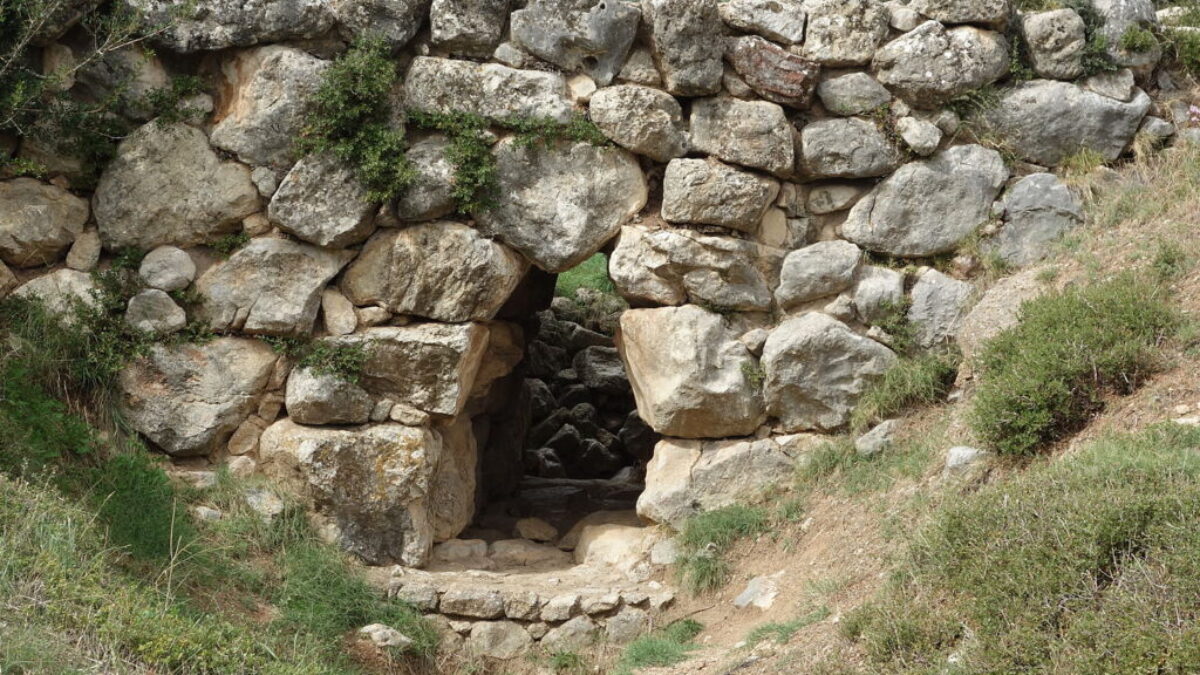 Flausa123