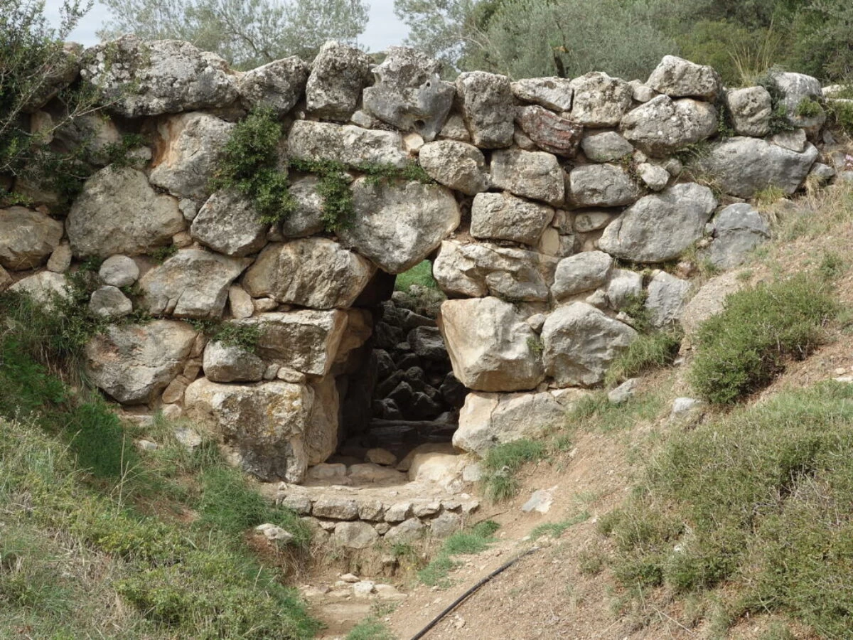 Flausa123