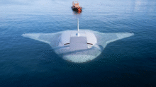 Manta Ray/Openverse