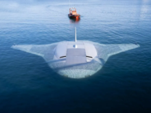 Manta Ray/Openverse