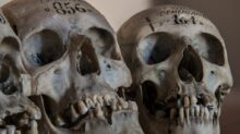 three gray skull decors