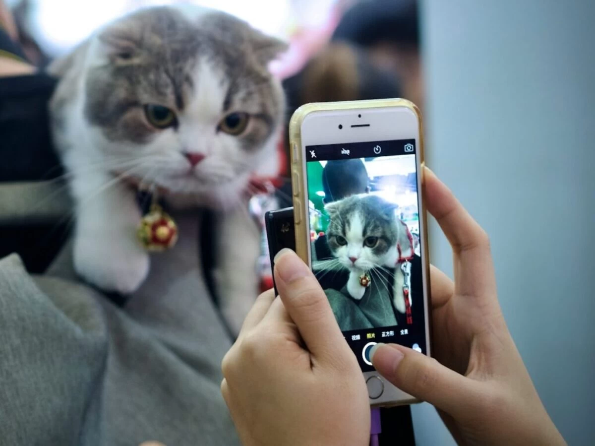a person holding a cell phone