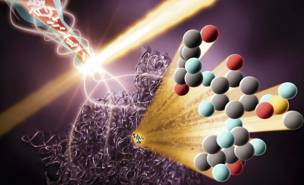 Catching the dance of antibiotics and ribosomes at room temperature - Techsvět Zdroj