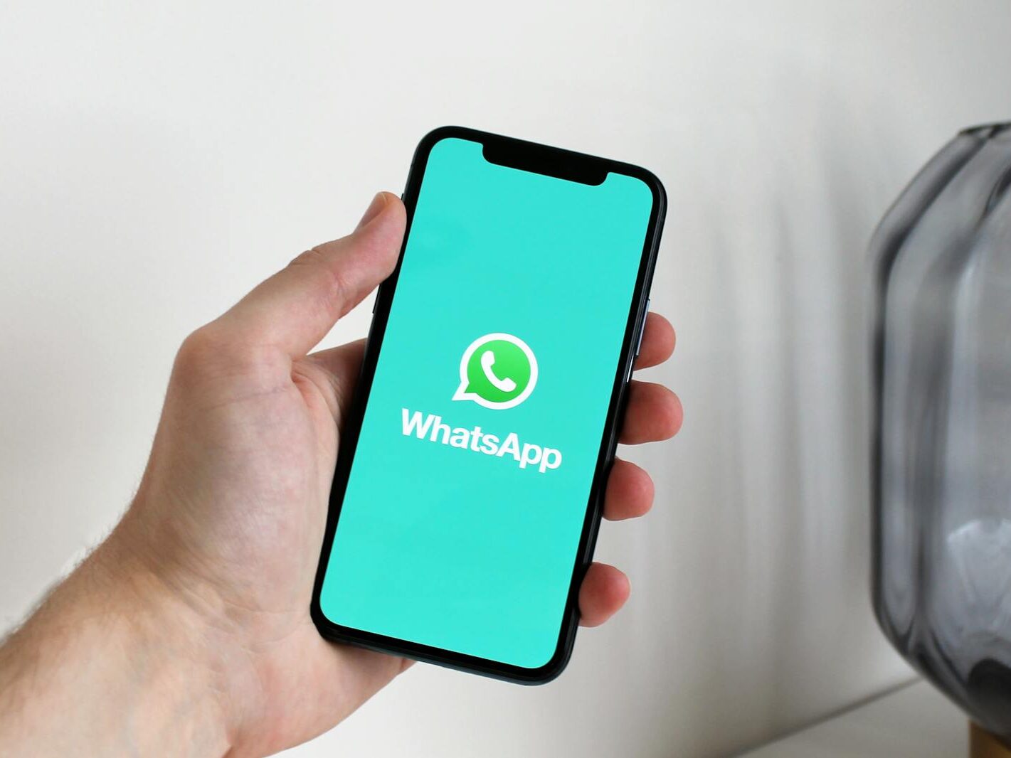 A Person Holding a Cellphone with Logo on the Screen