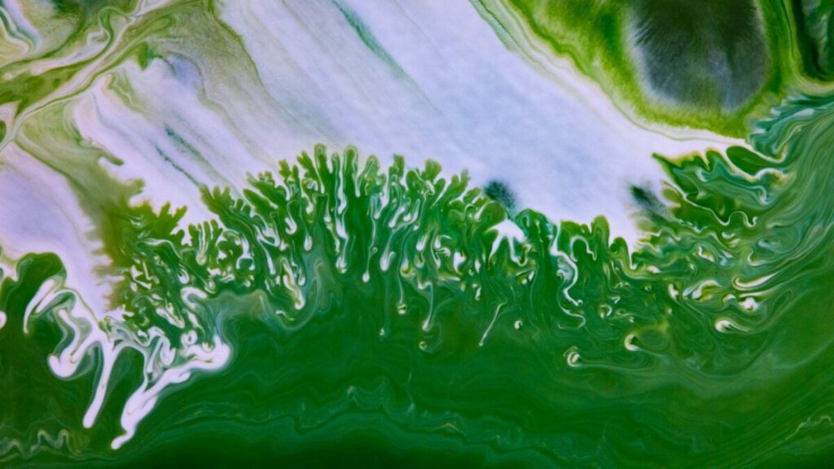 green and white abstract painting