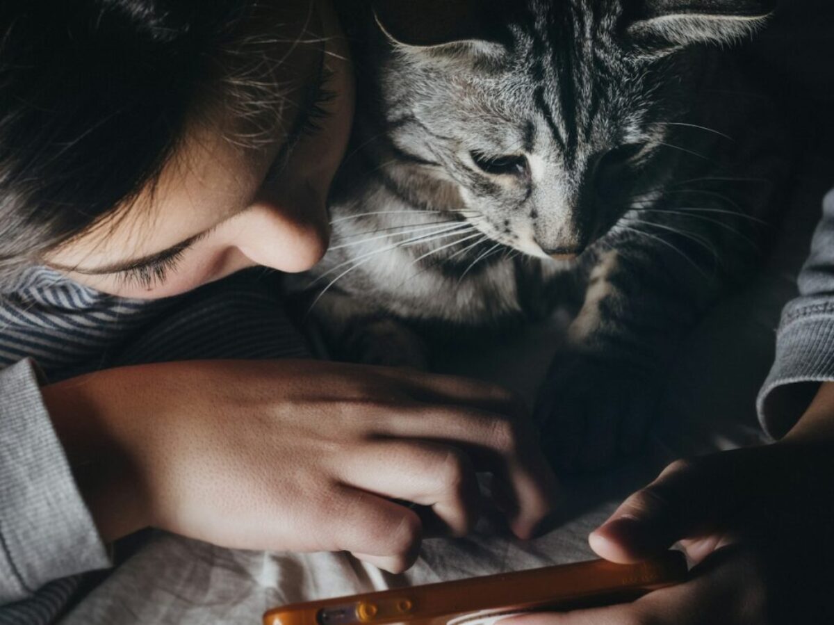girl holding smartphone beside cat watching reclining to her shoulder