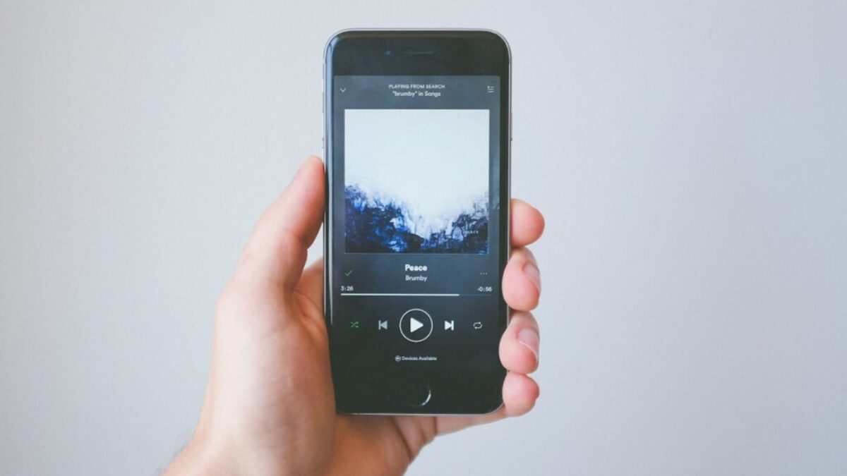 person holding space gray iPhone 6