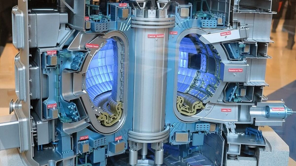 IAEA Imagebank