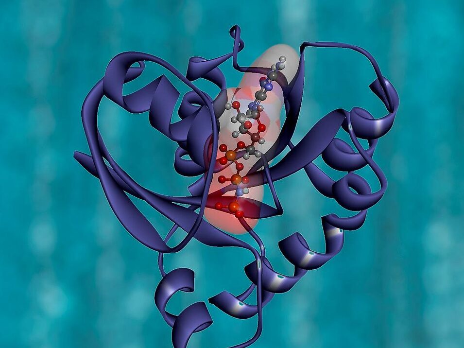 NIH Image Gallery