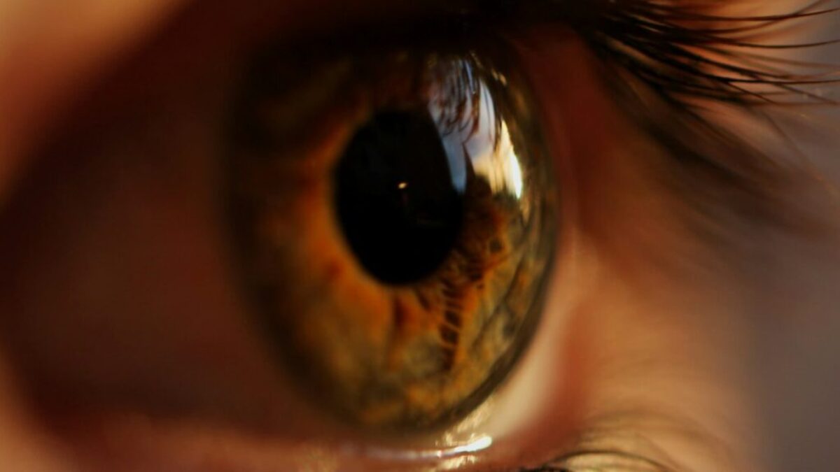 yellow and gray eyeball