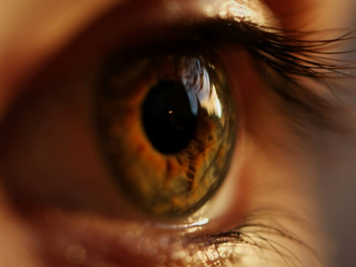 yellow and gray eyeball