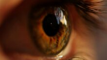 yellow and gray eyeball