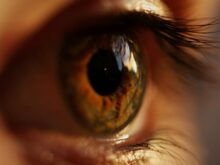 yellow and gray eyeball