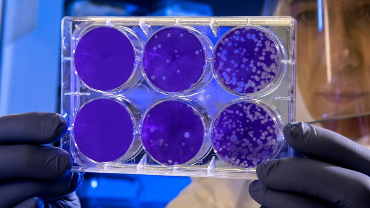 woman holding laboratory appratus