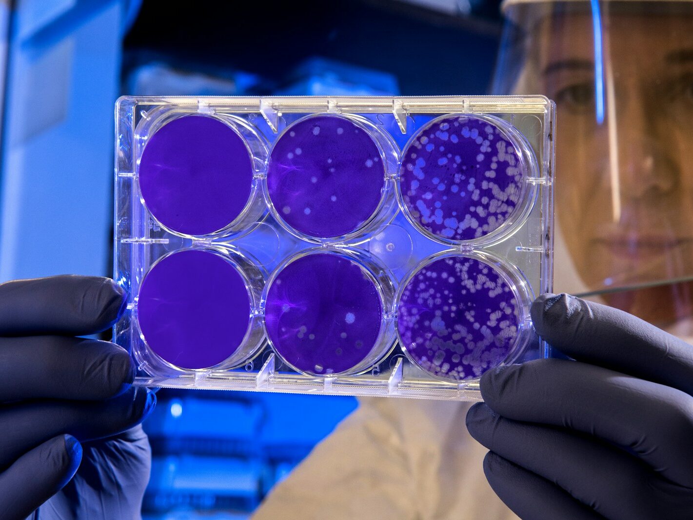 woman holding laboratory appratus