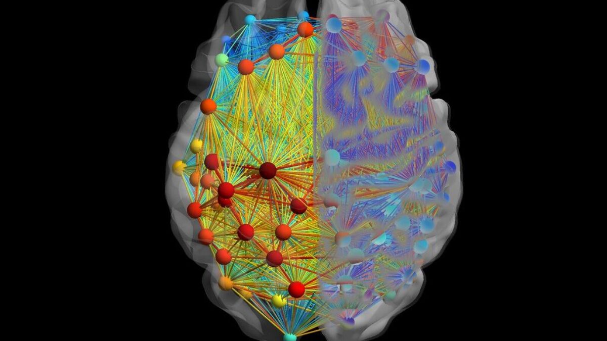 Neurological connections