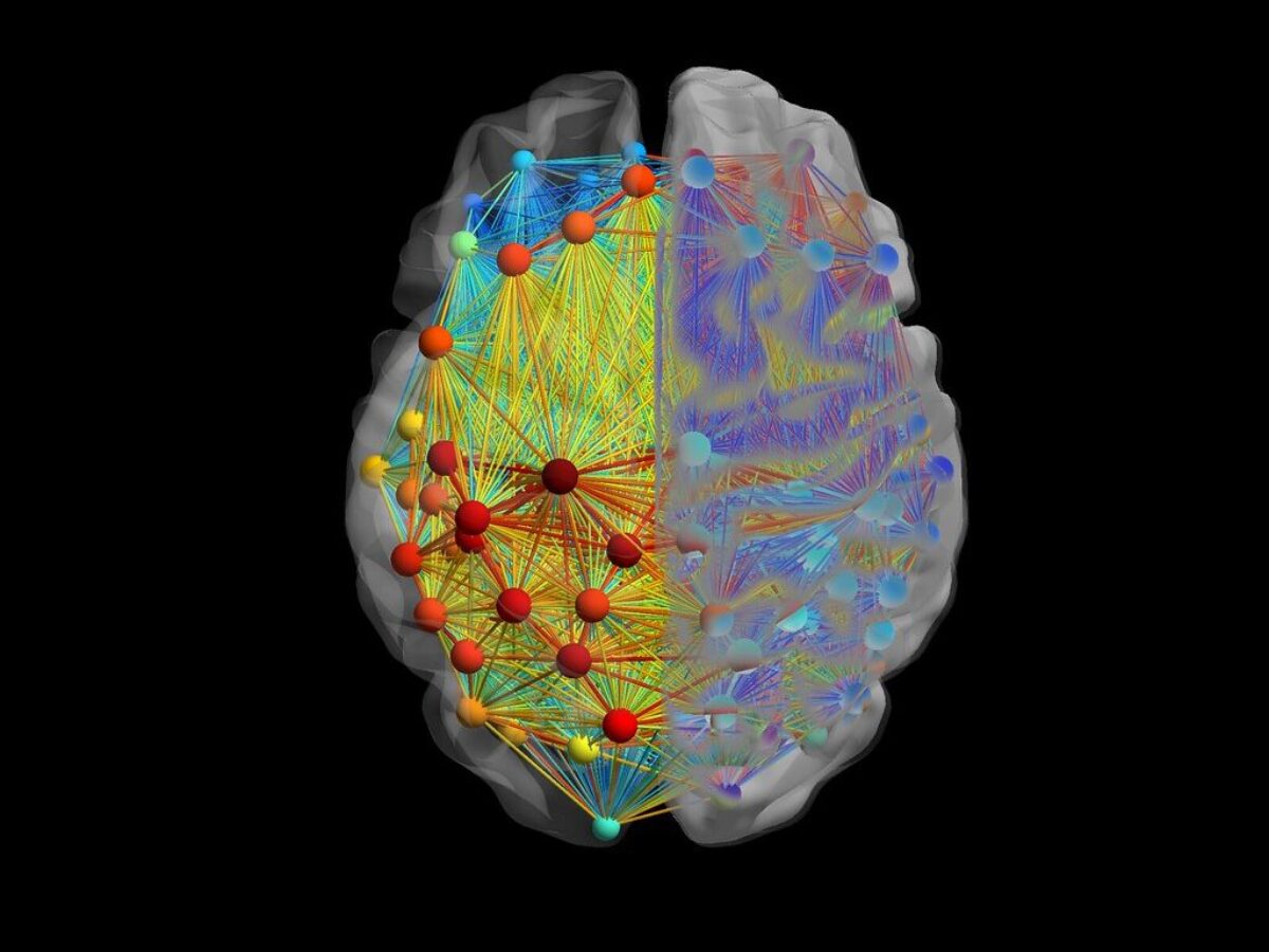 Neurological connections