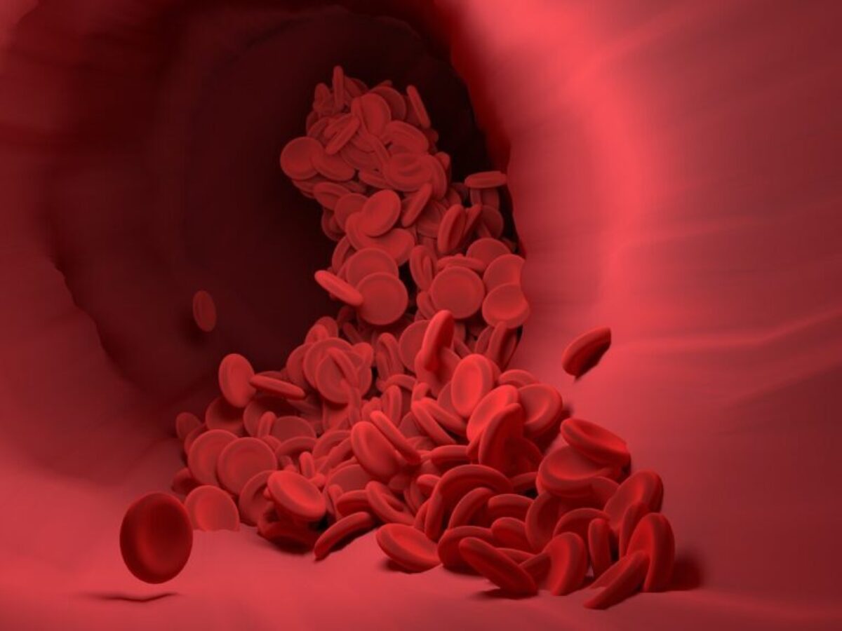 red blood cells, blood vessel, blood flow
