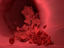 red blood cells, blood vessel, blood flow