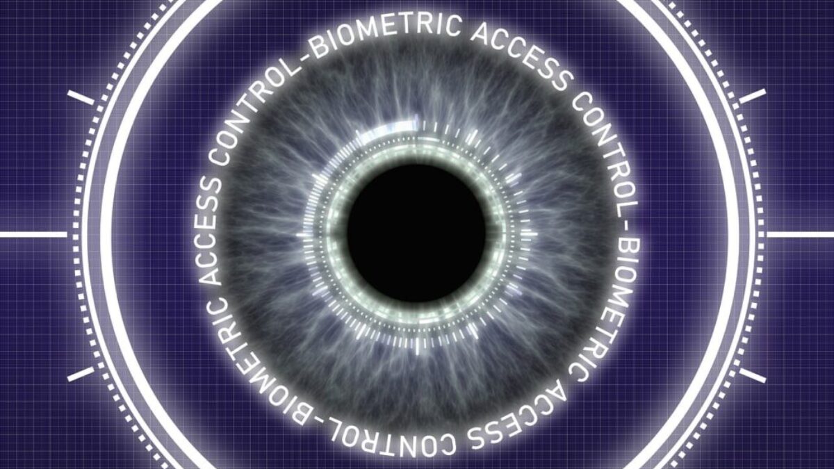 biometrics, access, authentication
