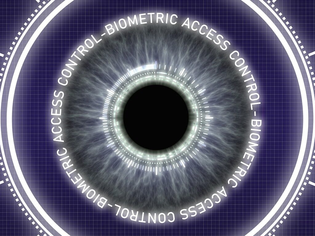 biometrics, access, authentication