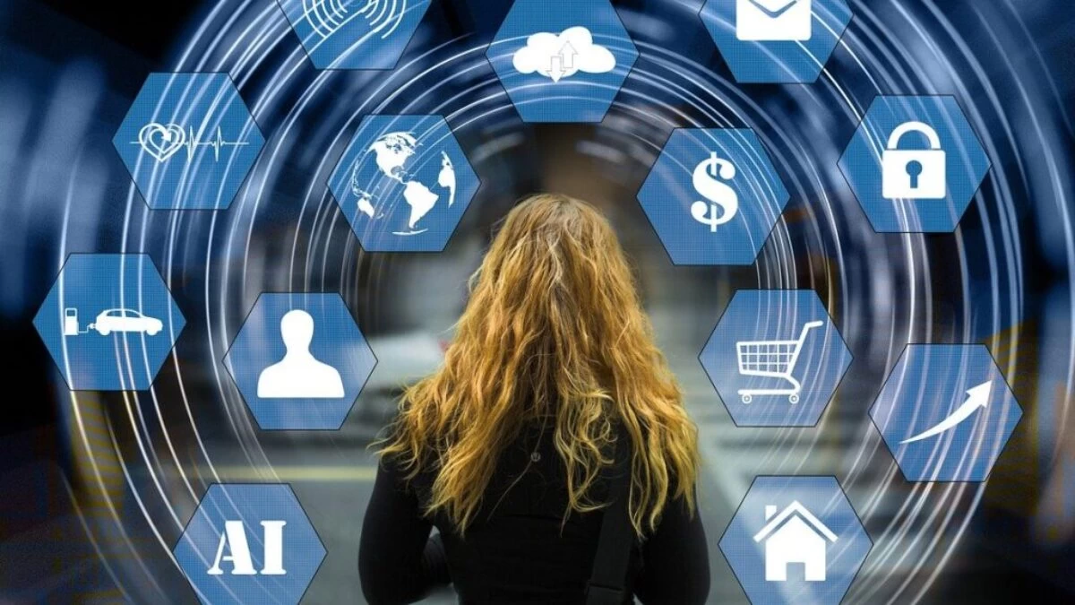 web, network, information technology