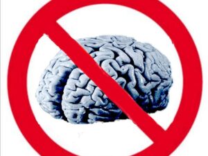 AI se sama požírá a hloupne