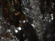 water, gel, frozen