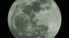 Earth's moon