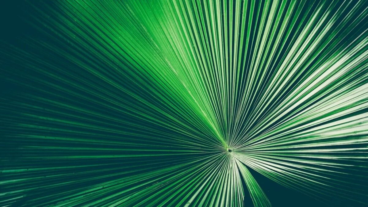 a green and white abstract background with lines