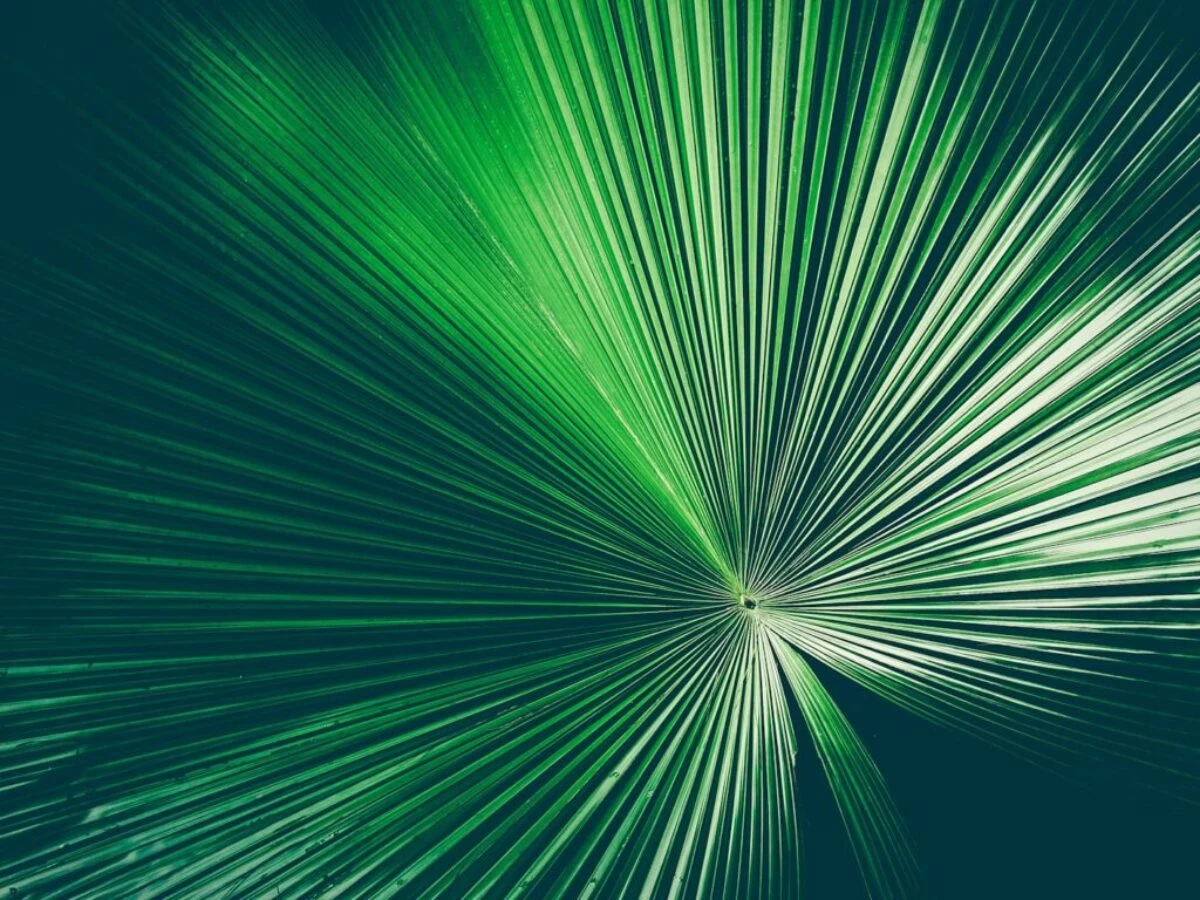 a green and white abstract background with lines
