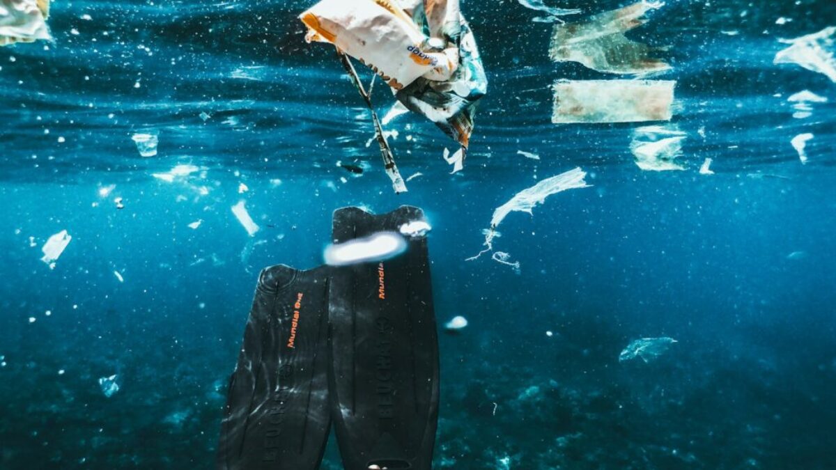 a person in a mask and a fish in the water