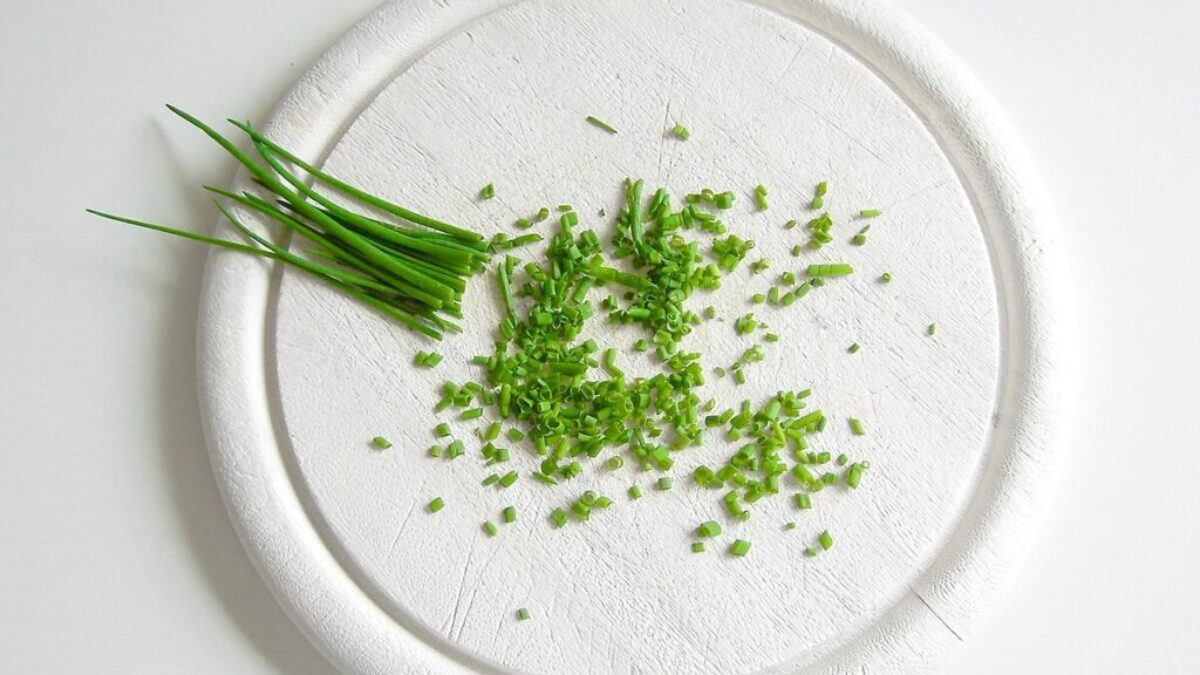 vegetables, chives, still life