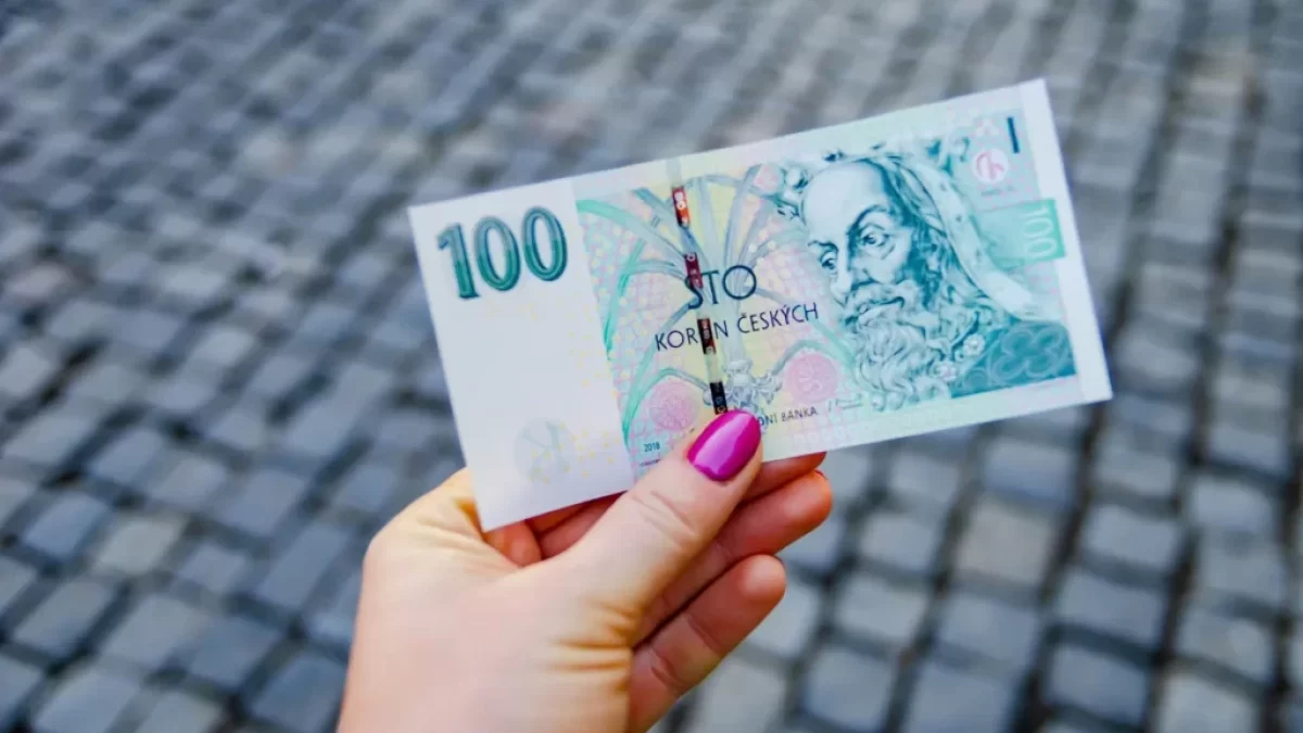 Ženská ruka drží novější typ stokoruny