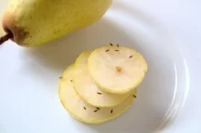 Octomilky