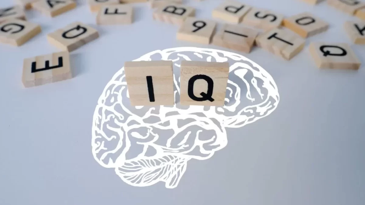IQ test