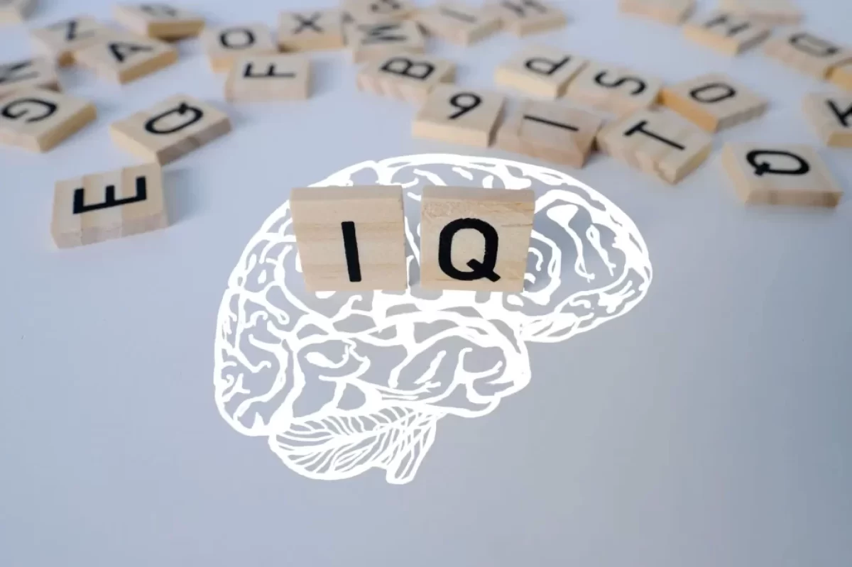 IQ test