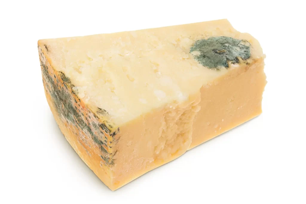 Parmezán se zelenou plísní