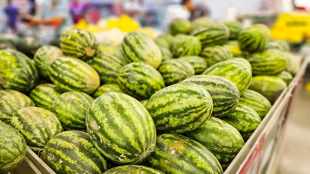 shutterstock_2492636873 - Techsvět Melouny
