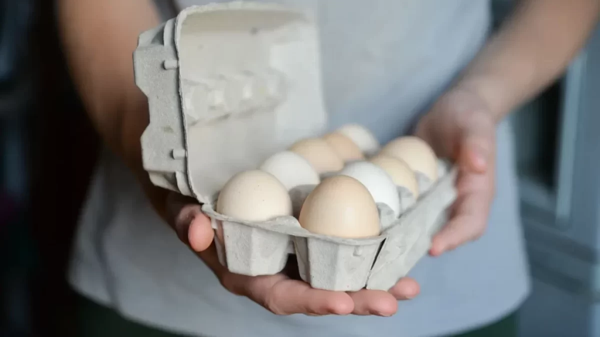 Muž drží plato s vejci.
