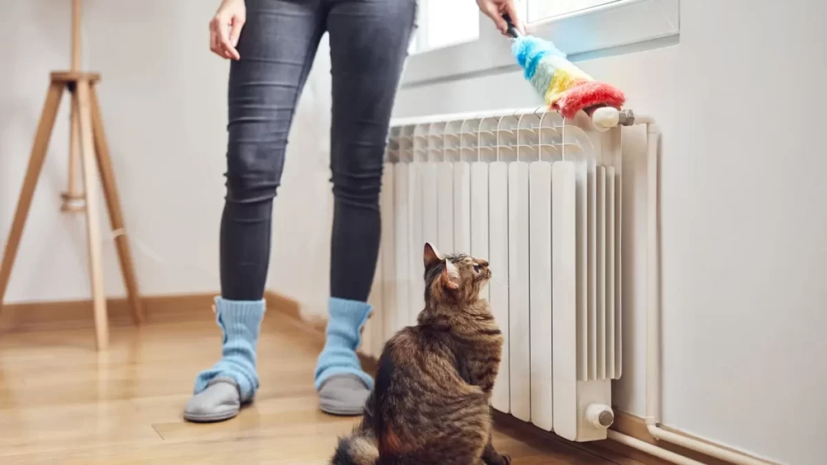 žena utírá prach na topení