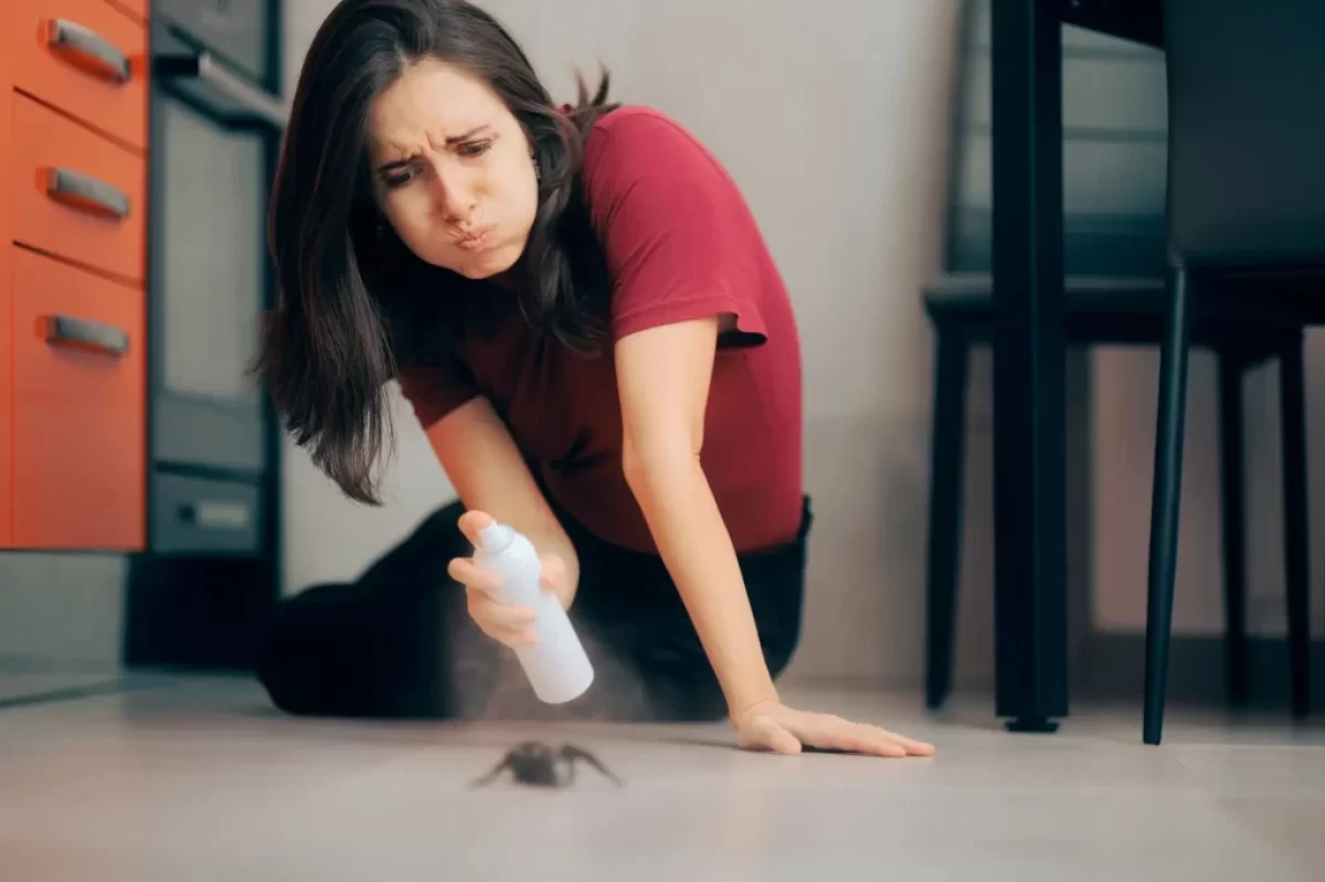 Žena likviduje hmyz