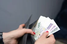 Peníze v peněžence