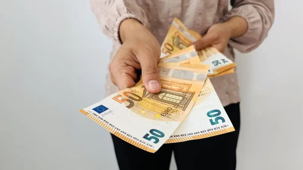 Euro v ruce