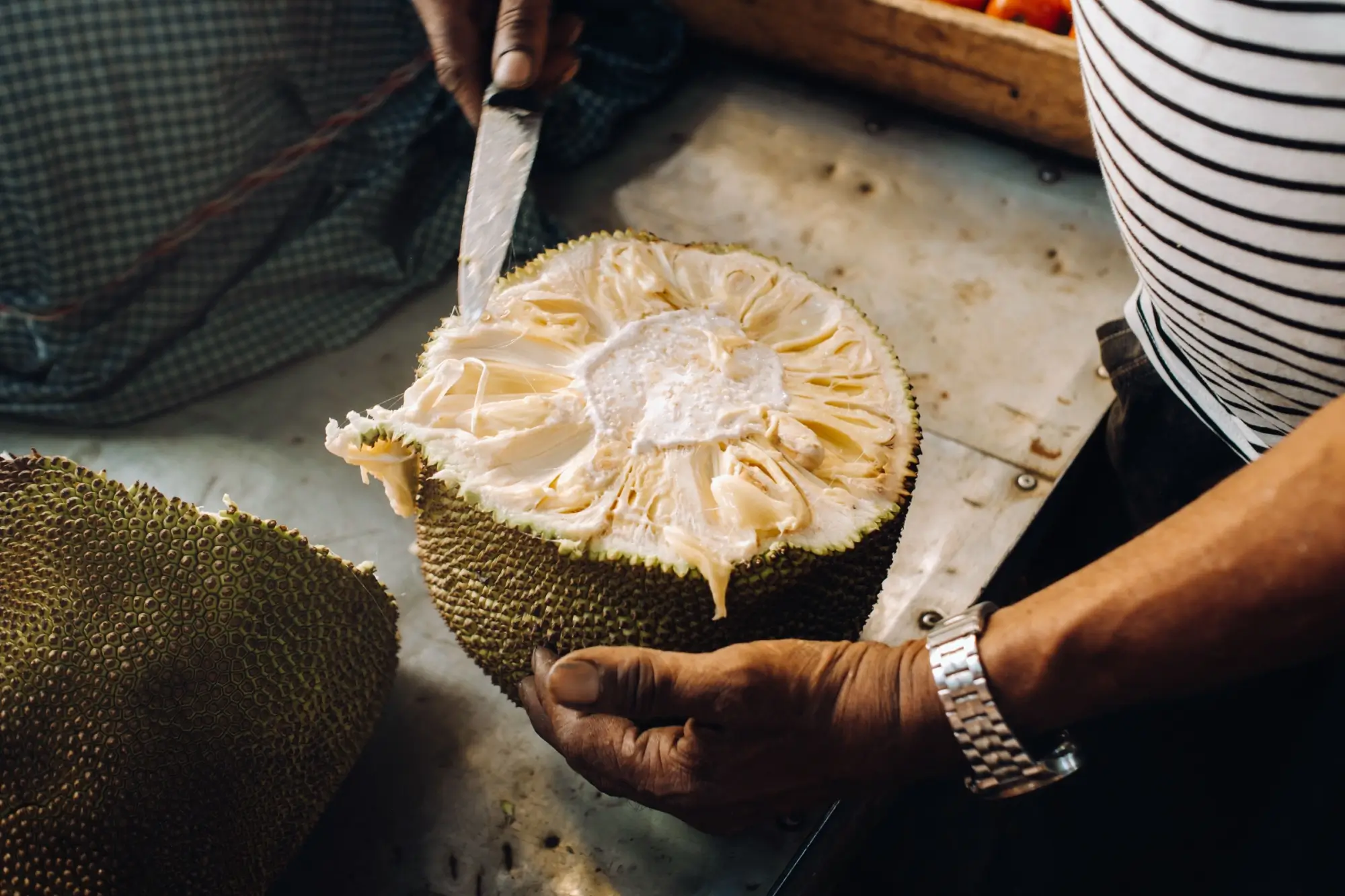 Shutterstock_1769948540 - Techsvět Jackfruit neboli chlebovník.