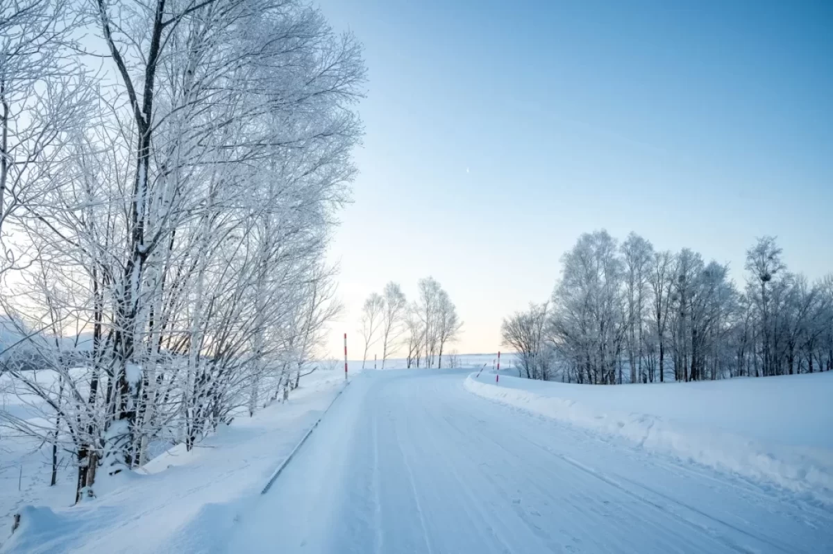 Zasněžená krajina