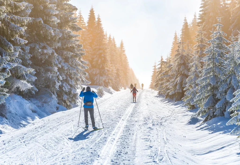 shutterstock_1951128622 - Techsvět lidé na běžkách